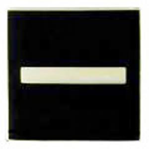 Air Force ROTC Pin On Rank