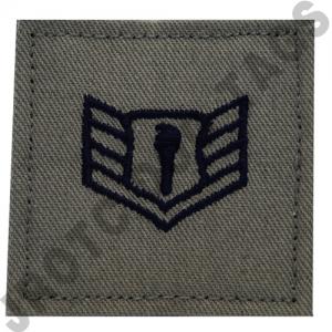 ABU Rank AFJROTC Hook Back (Each)