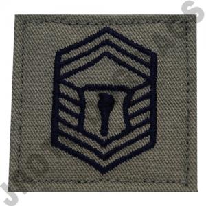 ABU Rank AFJROTC Hook Back (Each)