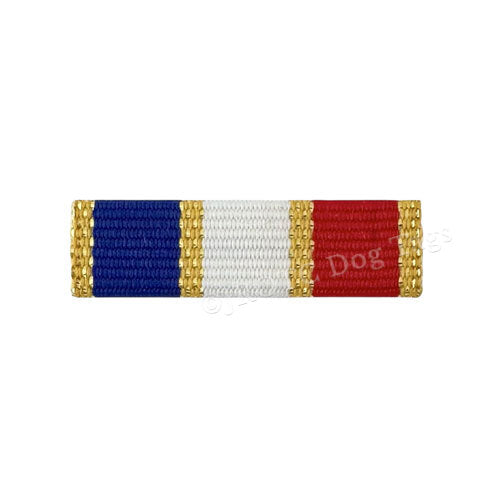 AFJROTC Ribbons & Medals (Each)