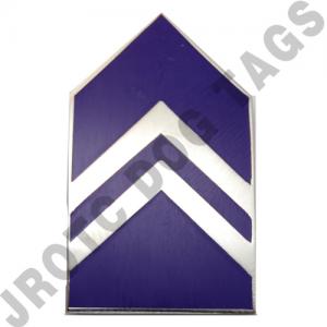 Air Force ROTC Pin On Rank