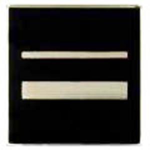 Air Force ROTC Pin On Rank