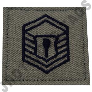 ABU Rank AFJROTC Hook Back (Each)