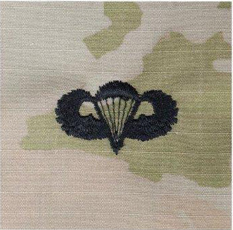 Airborne Active Duty OCP Rank (Sew on) Each