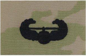 Air Assault Badge (Sew on) Each