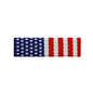 U.S. Navy Cadet of MN Ribbons of Precedence