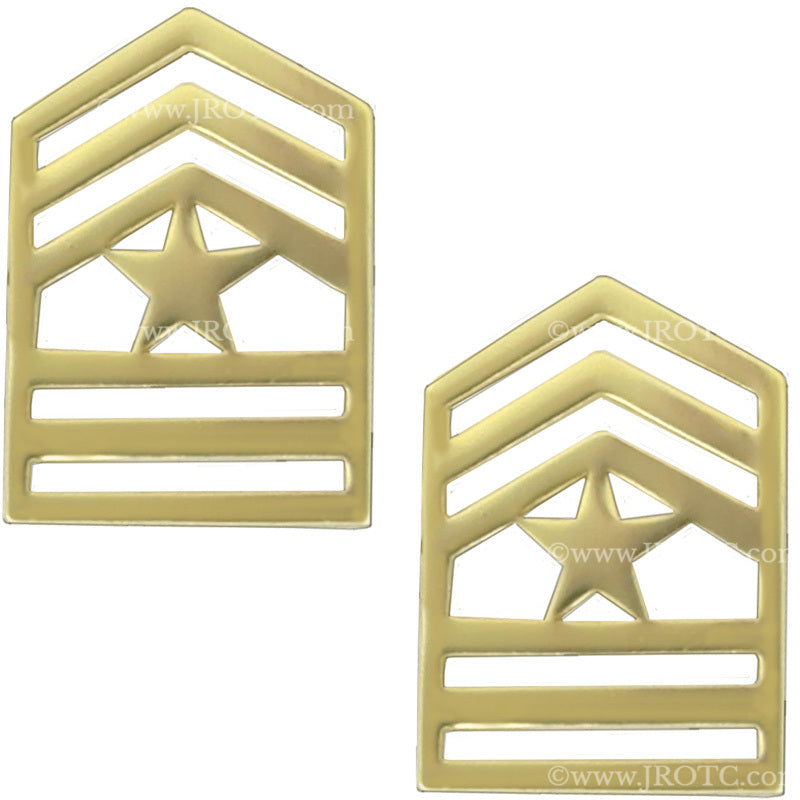 Army Cadet Pin on Rank [PAIR] - JROTC.com