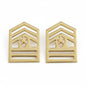 Army Cadet Pin on Rank - Select style