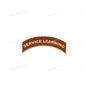 SERVICE LEARNING (Maroon) [JDT-34-121_rowi15]