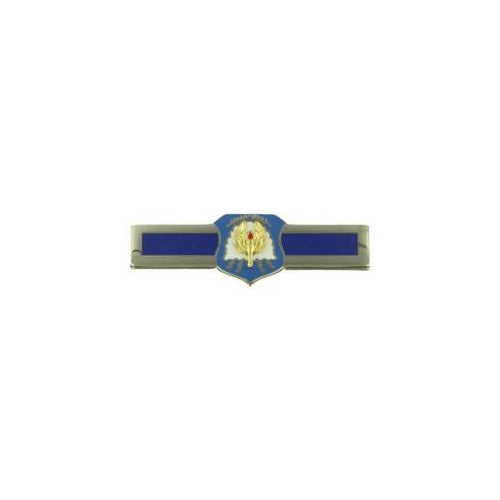 Air Force Distinguished Cadet Badge (Each)