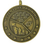 N Series Medallion Only - JROTC.com