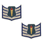AFJROTC Pin On Rank - Select style