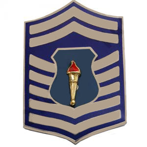 Senior Master Sergeant AFJROTC Pin on Rank