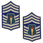 AFJROTC Pin On Rank - Select style