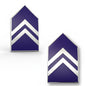 AFJROTC Pin On Rank - Select style