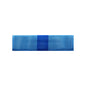 U.S. Navy Cadet of MN Ribbons of Precedence