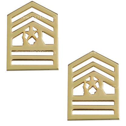 Army Cadet Pin on Rank (Pair)