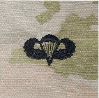 Airborne Active Duty OCP Rank (Sew on) Each [JDT-58-343]