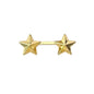Service Designation Star - Double Star (Each)