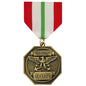 NJROTC Medal Sets - Select style
