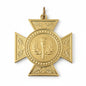 N Series Medal (Medal Only)